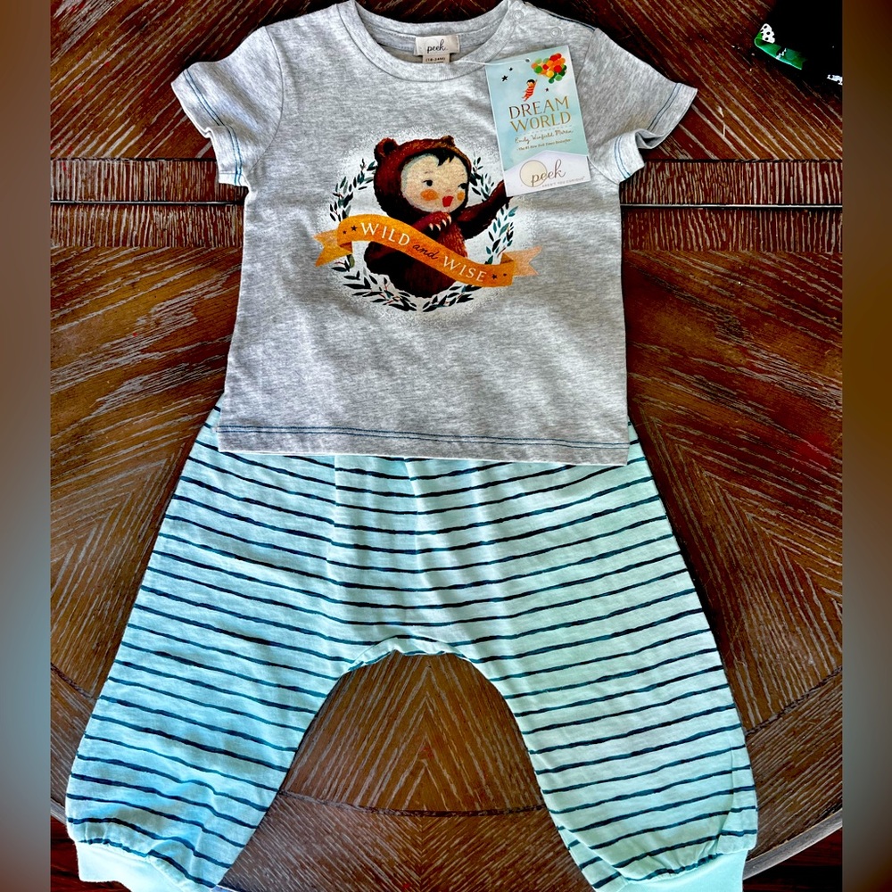 Baby’s Peek x Dreemworld 2-piece wild & wise t-shirt and pants set